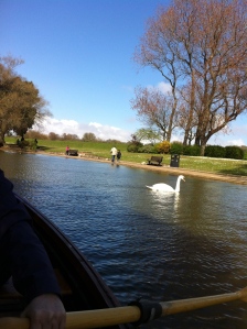 On the boating lake